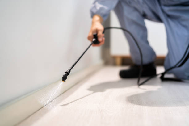 Licensed Pest Control service in Michigan City, IN - Show Me Pest Control