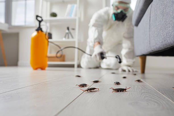 Commercial Kitchen Cockroach Control in Michigan City